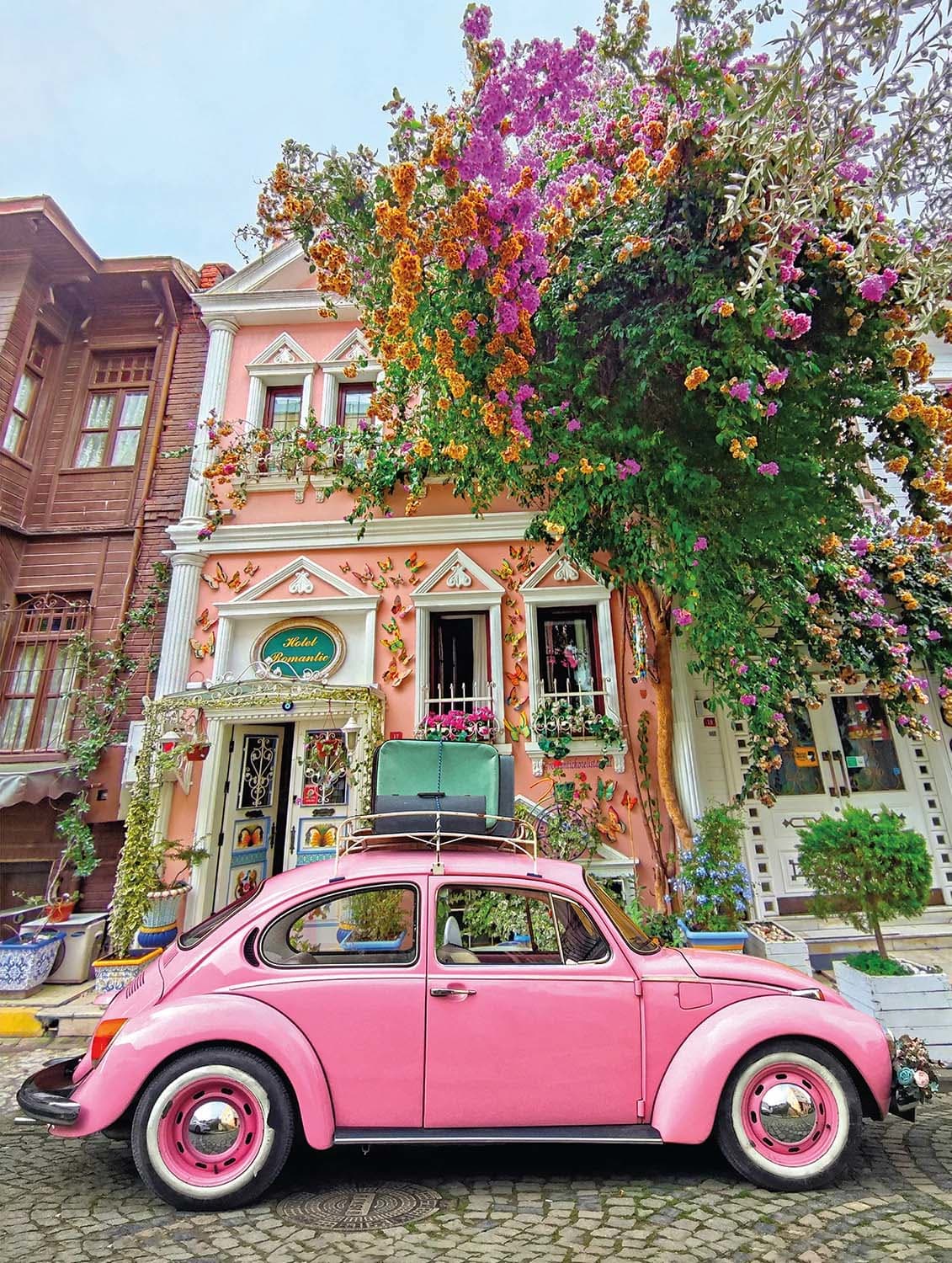 Scenic Photography - Boulevard In Bloom Car