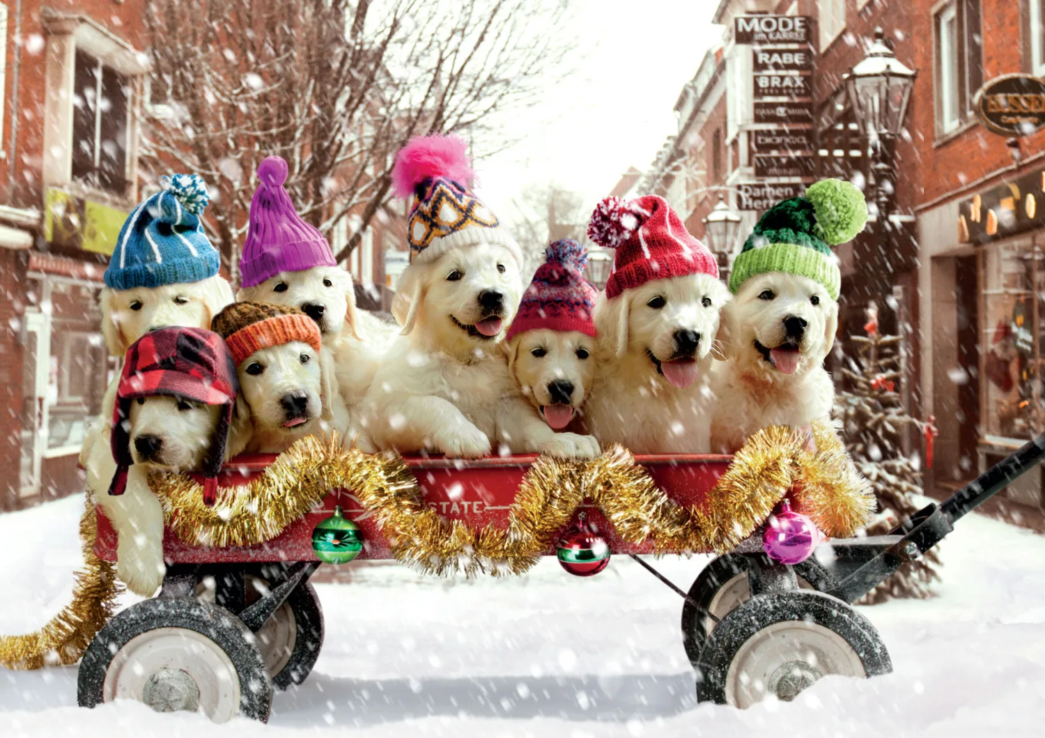 Avanti Puppies In A Wagon