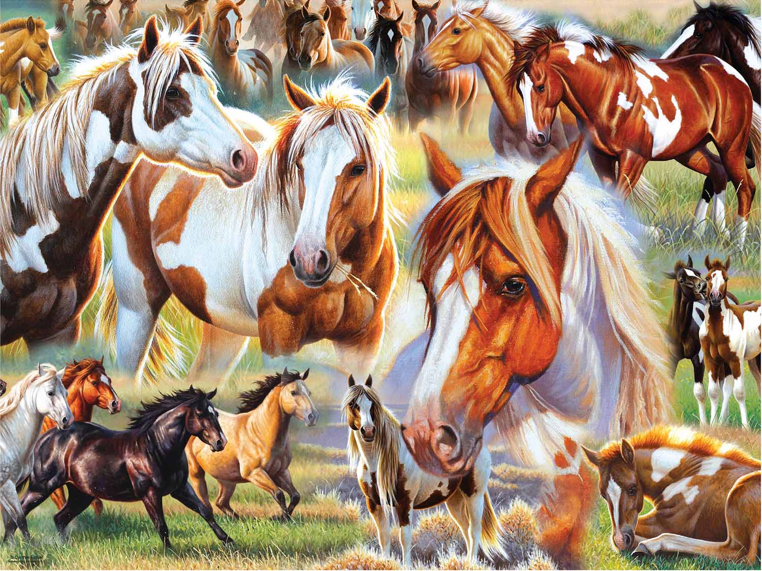 Horse Collage Horse Jigsaw Puzzle