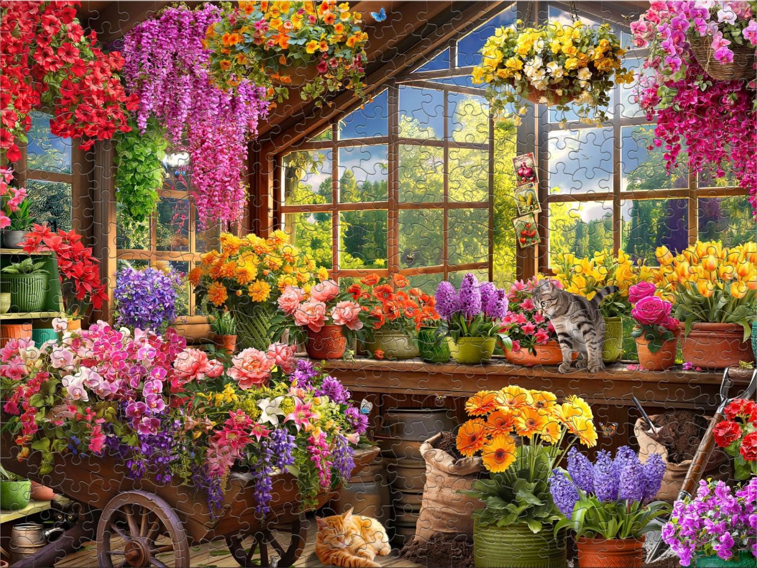 Colorful Potting