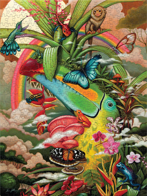 Cloud Forest (Shane Koehler)