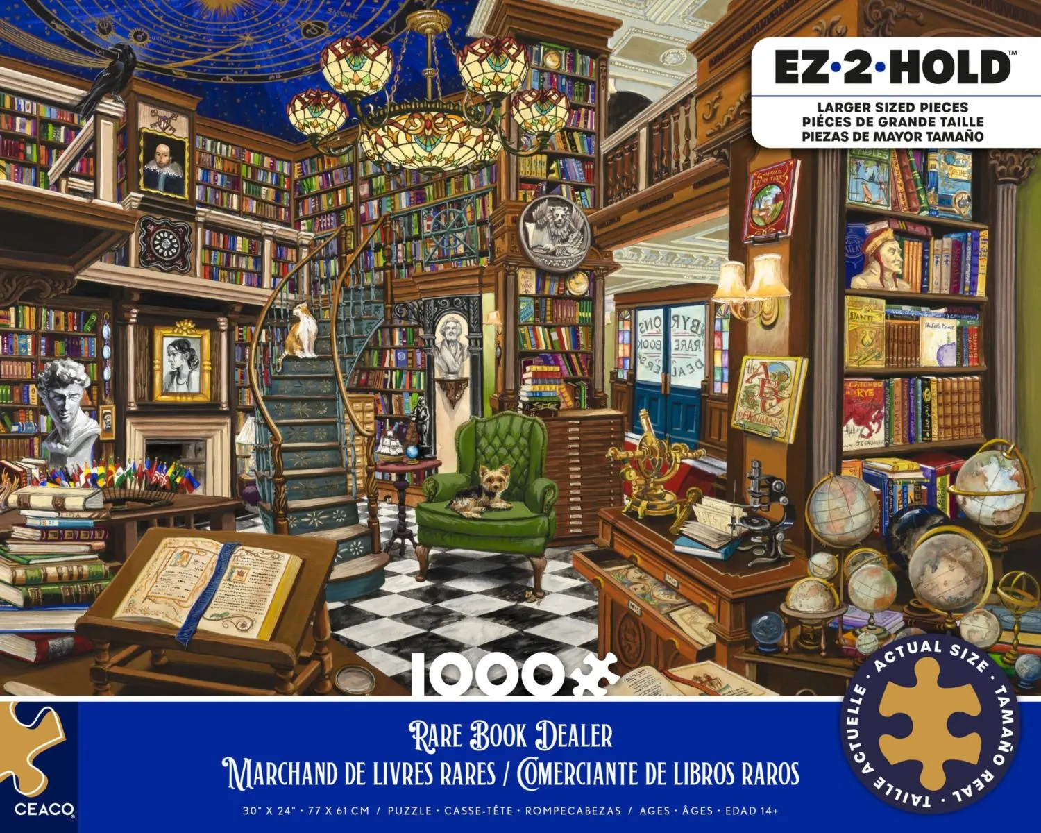 Rare Book Dealer Books & Reading