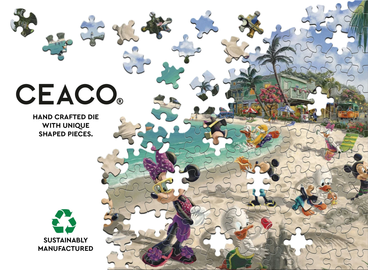 Mickey & Minnie In Florida