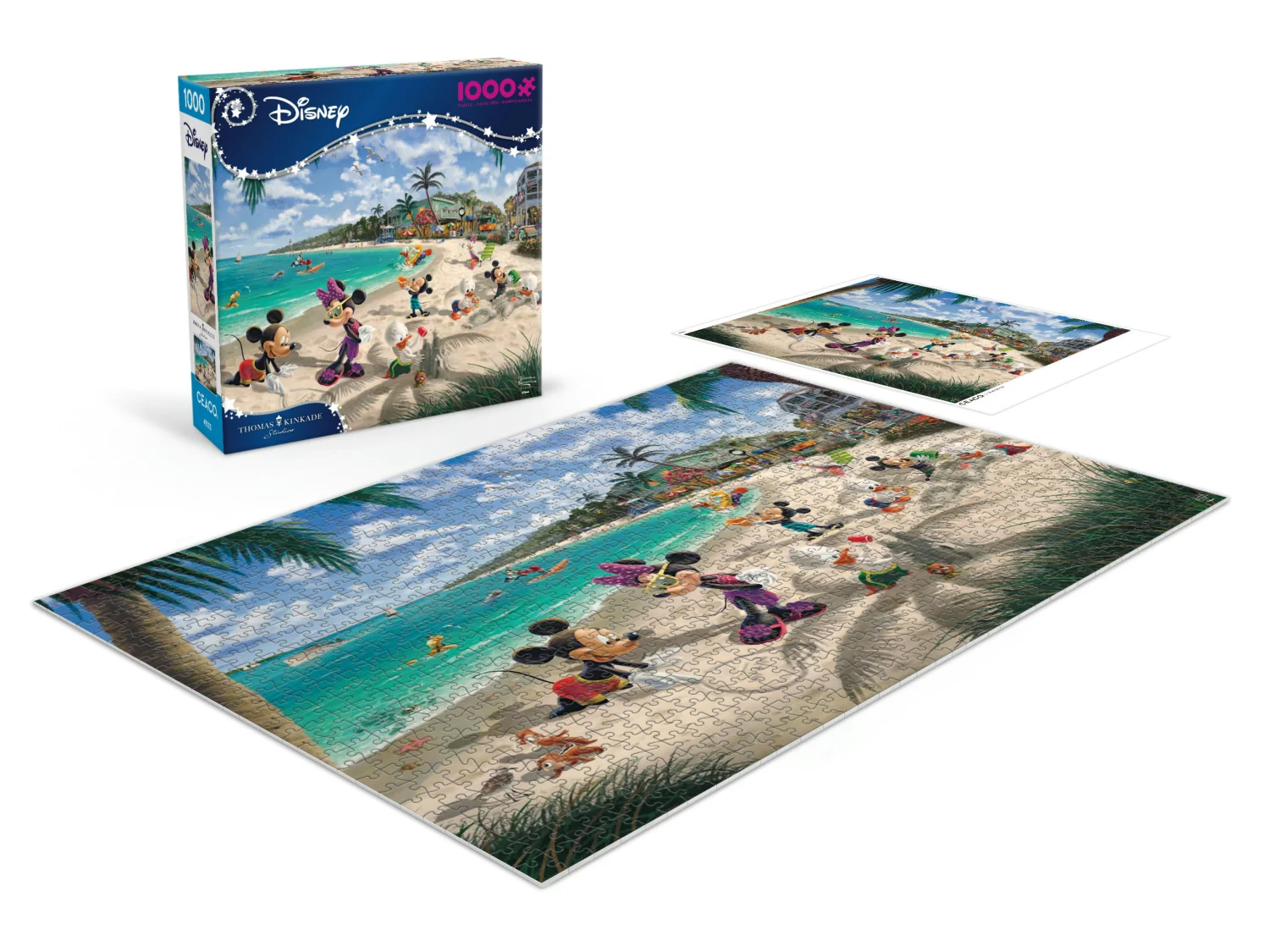 Mickey & Minnie In Florida