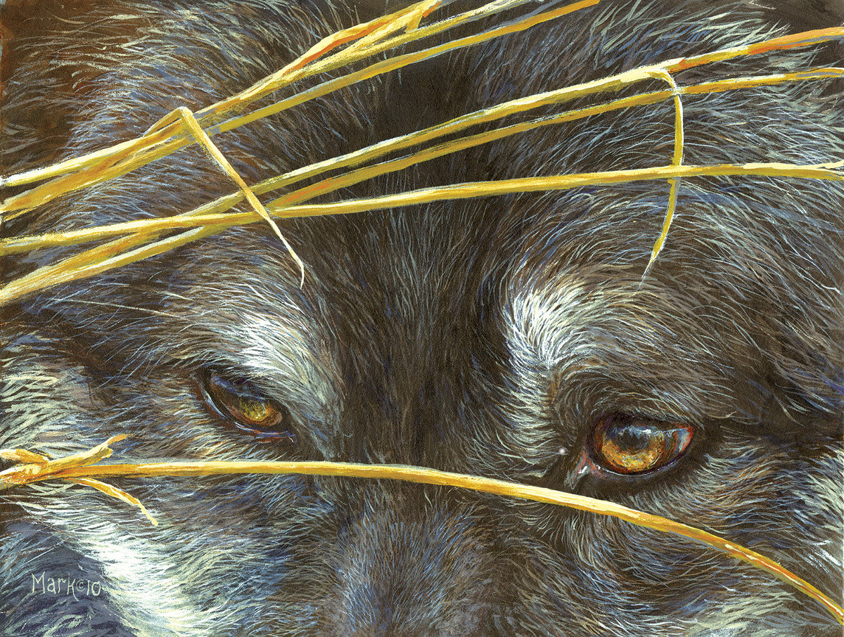 Wolf Eyes and Reeds Wolf Jigsaw Puzzle