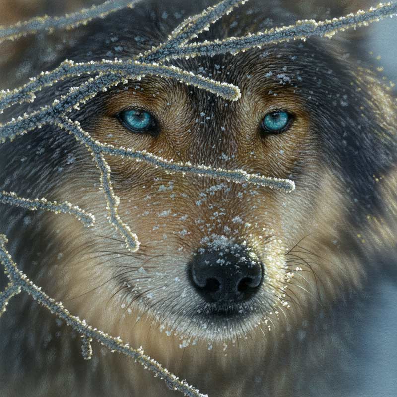 Fire Within Ice Wolf Jigsaw Puzzle