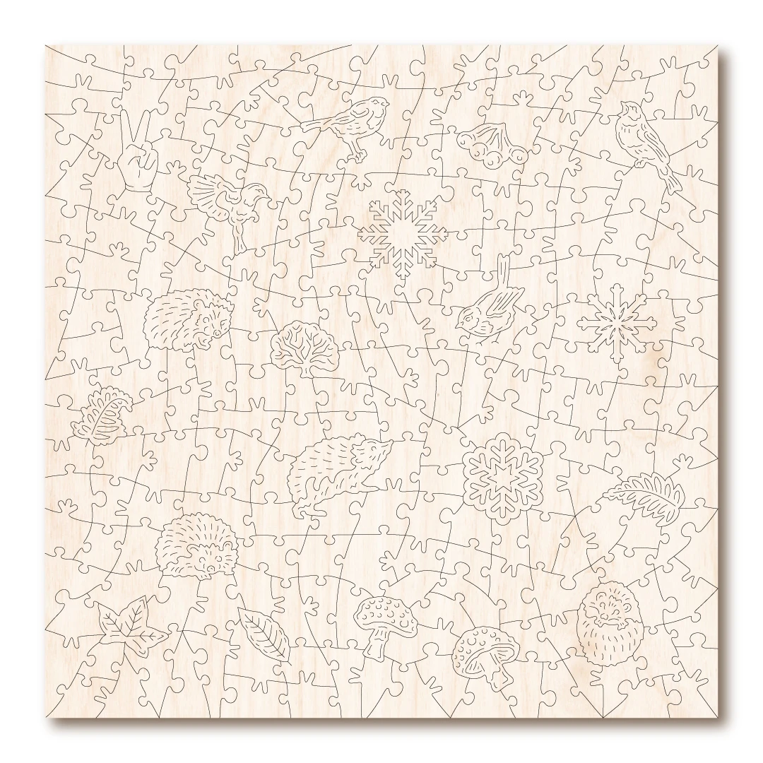 Snowy Hedgehog & Robin