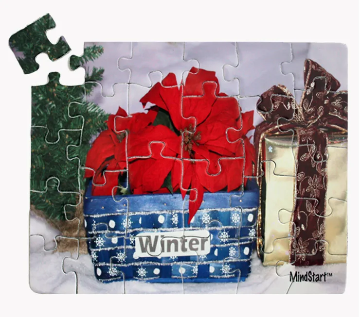 Winter (30pc) Winter