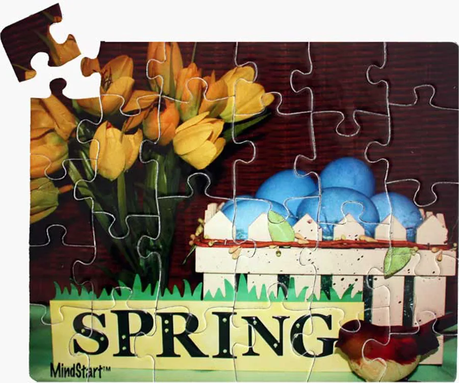 Spring  (30pc) Spring