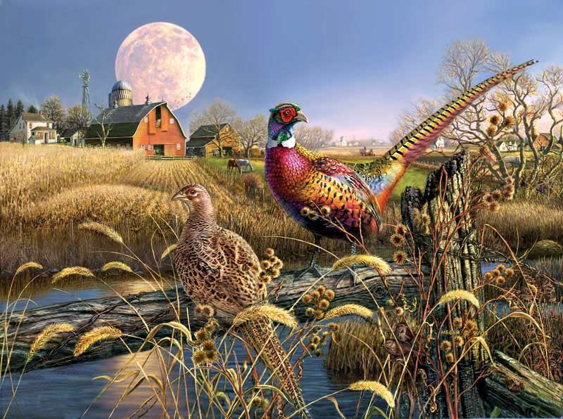 Harvest Moon Countryside