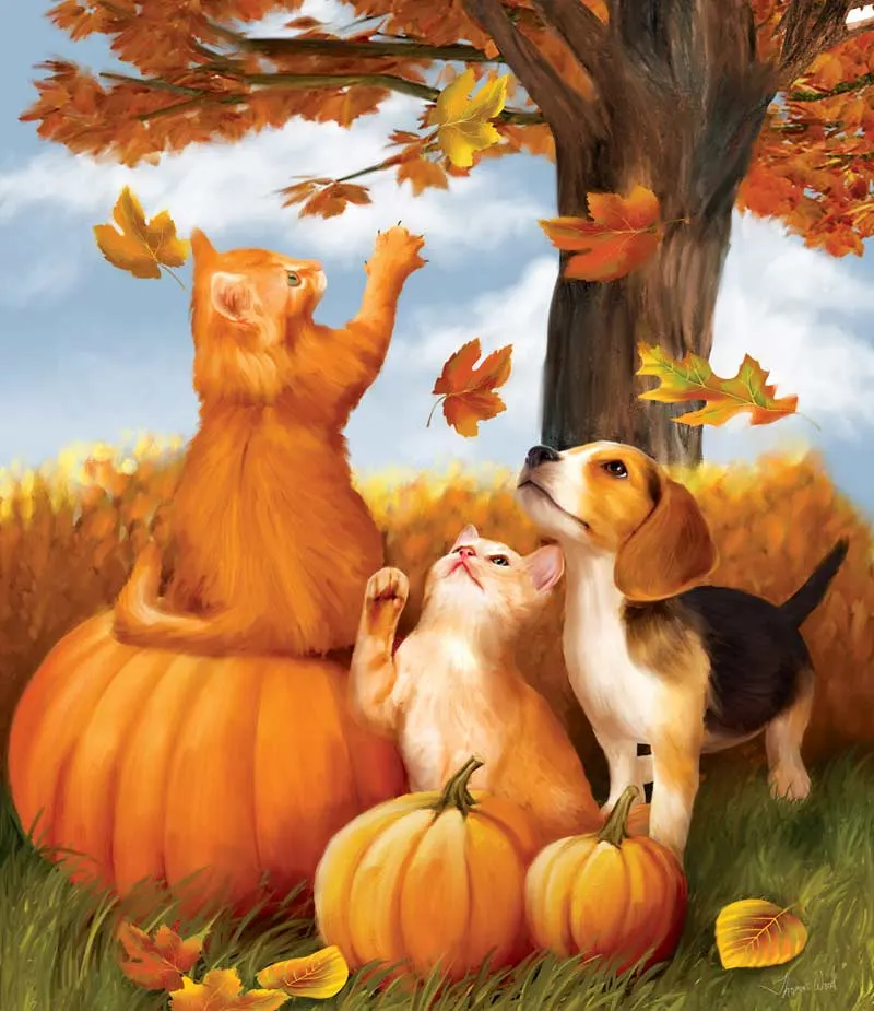 Fall Fun Cats