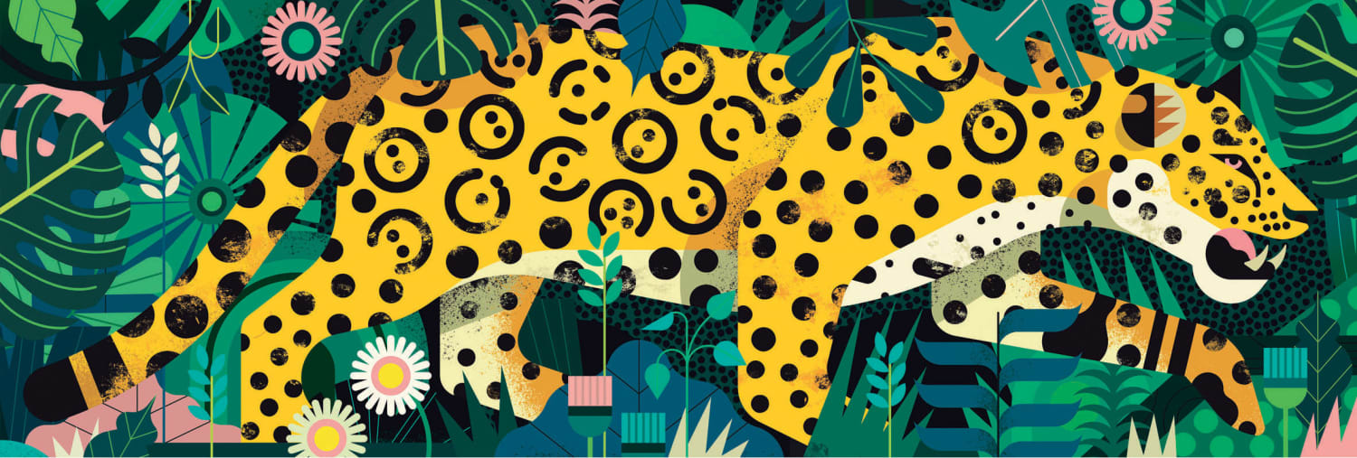 Leopard Jungle Animals