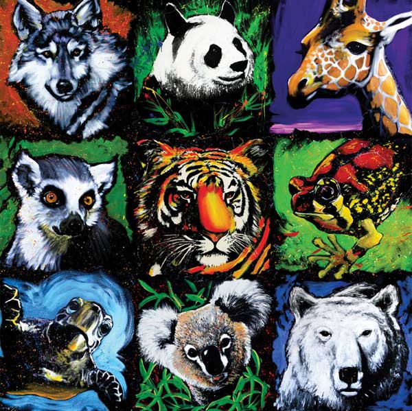 Splash! For Life - All Together Now Animals