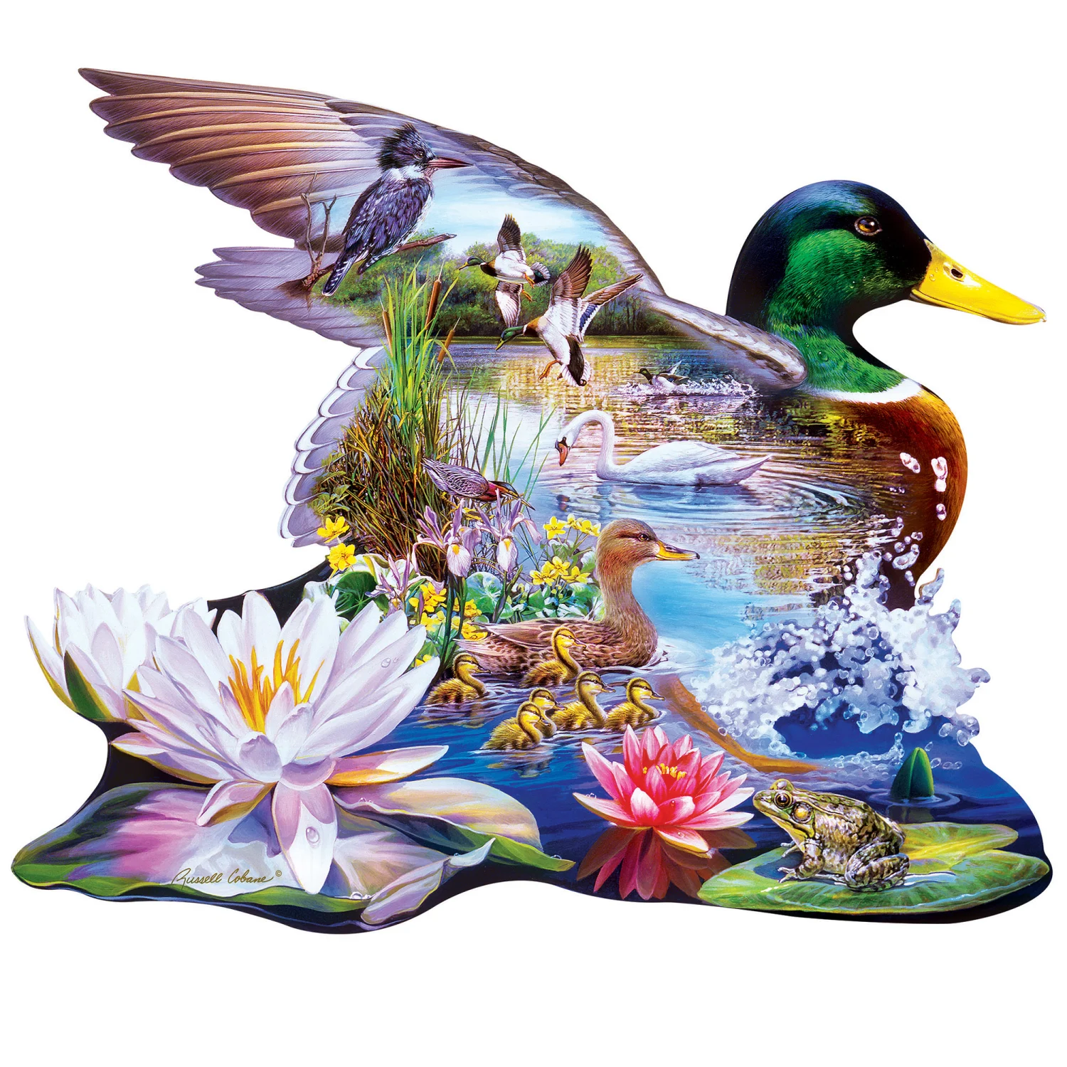 Woodland Ducks - Scratch and Dent Birds