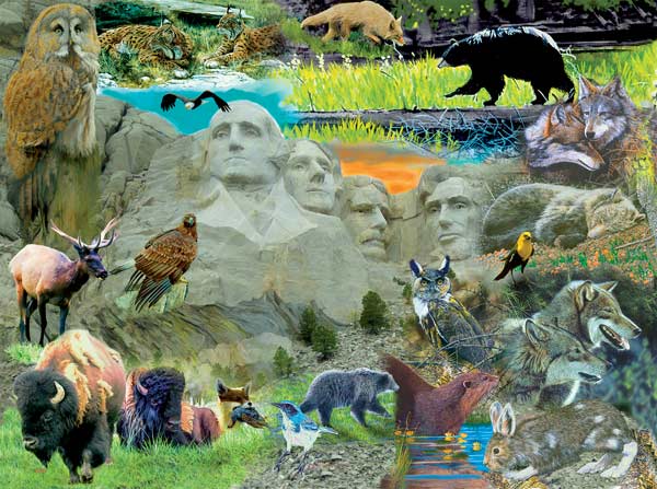 Wildlife at Mount Rushmore Landmarks & Monuments