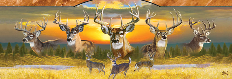 10 Point Buck Forest Animal