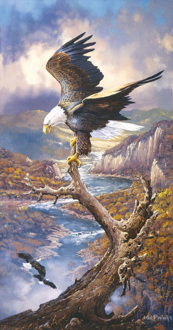 At Rest on the River Eagle Jigsaw Puzzle