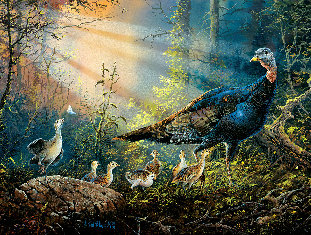 Turkey in the Sun Rays Birds Jigsaw Puzzle