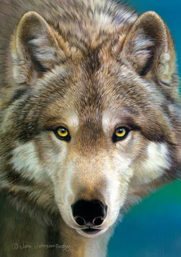 The Eyes of the Hunter Wolf