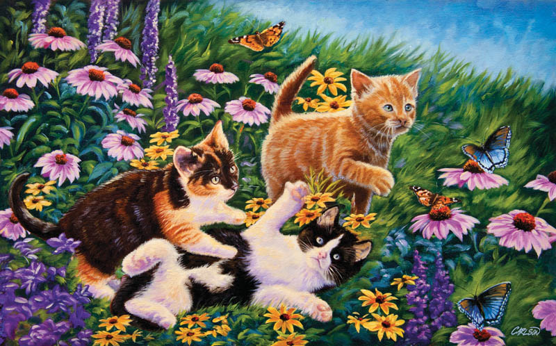 Carefree Days Cats
