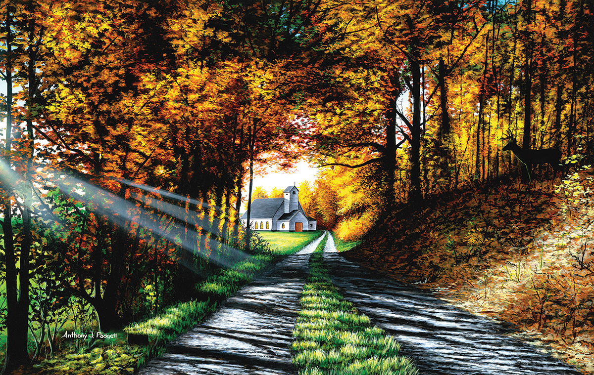 Choose Your Path Wisely Countryside Jigsaw Puzzle
