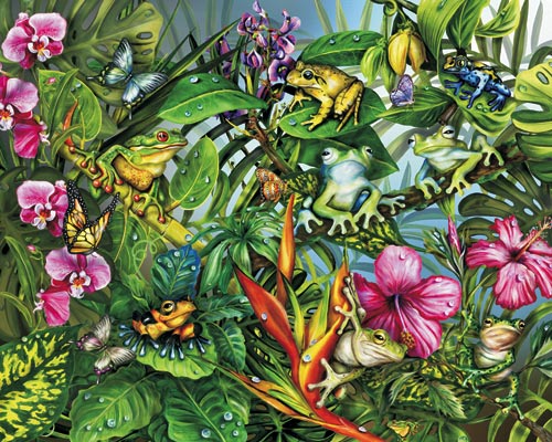 Frogs Gone Wild Reptile & Amphibian