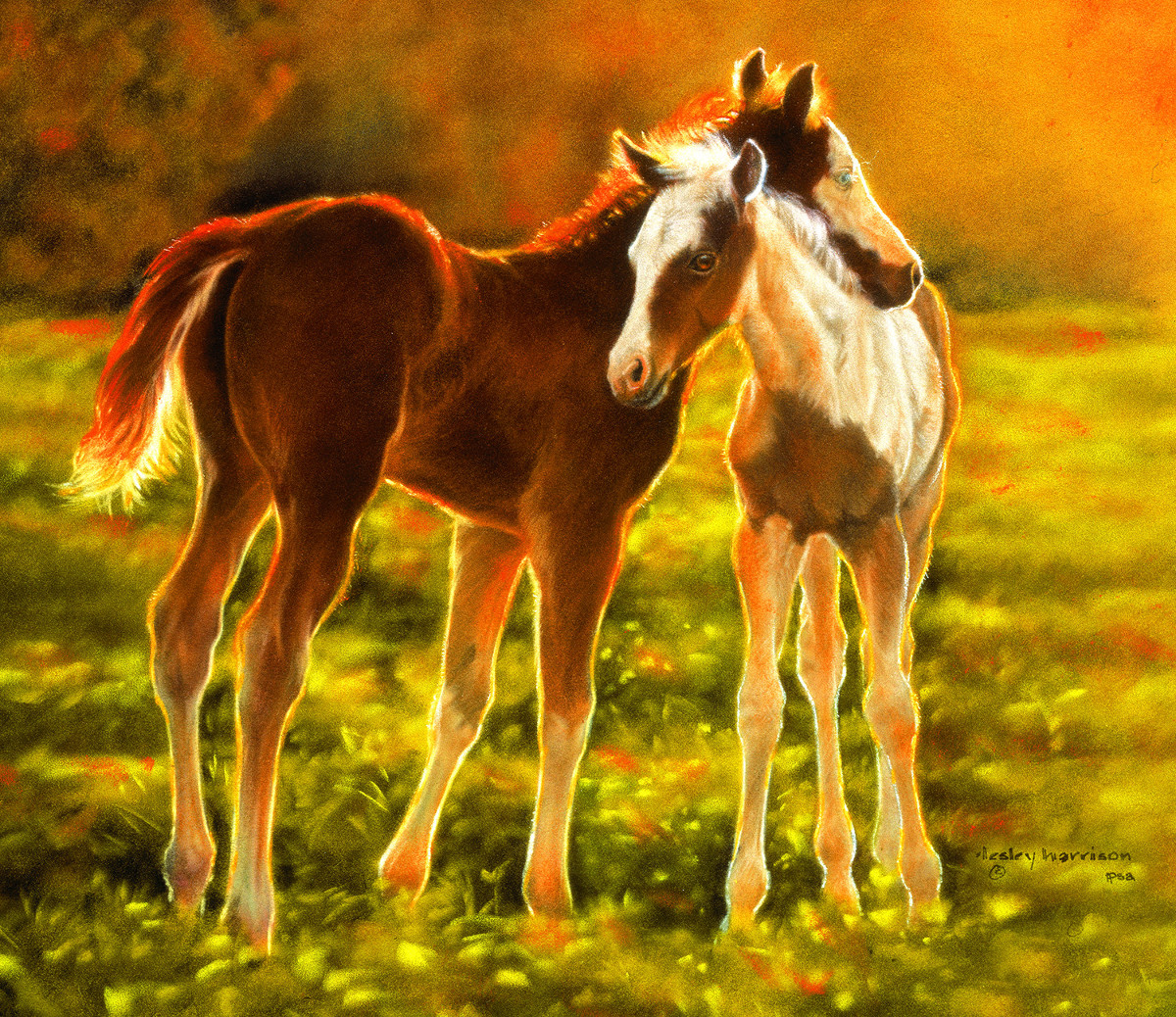 Backlit Foals Countryside Jigsaw Puzzle