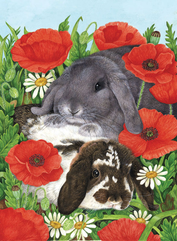 Red Poppies Animals
