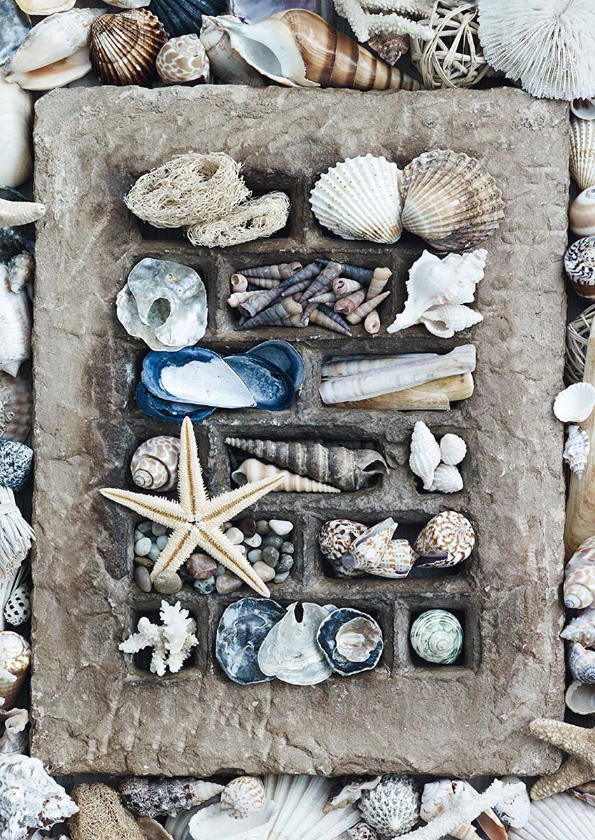 Treasures Of The Sea Sea Life Jigsaw Puzzle