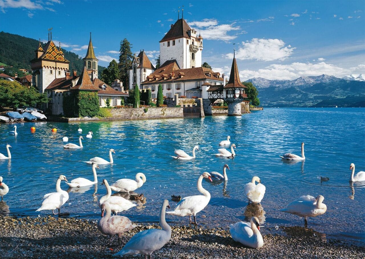 Lakeshore Swans Castle