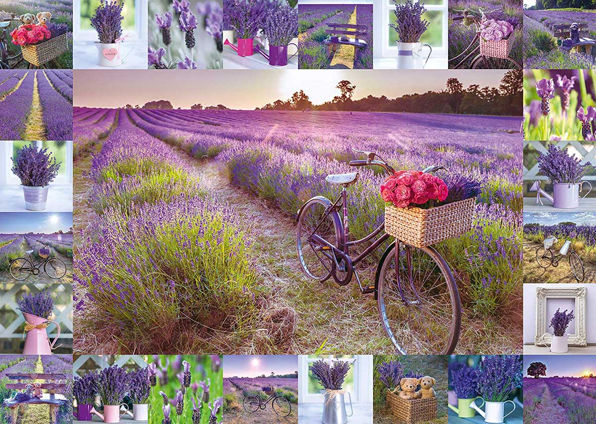 The Scent Of Lavender Flower & Garden Jigsaw Puzzle