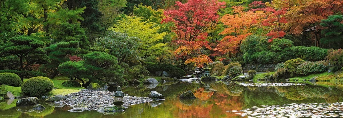 Zen Reflection Flower & Garden