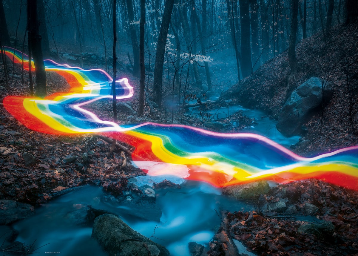 Rainbow Forests Forest