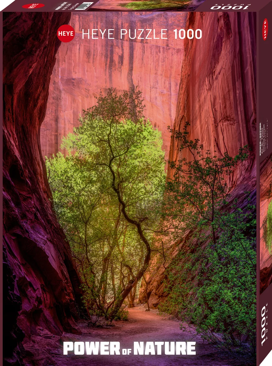 Power of Nature