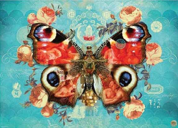 Metamorphosis, Wings No. 3 Butterflies and Insects