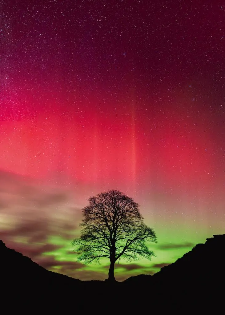 Sycamore Gap Landscape