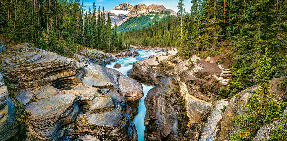 Mistaya Canyon, Banff National Park, Canada - Scratch and Dent Forest