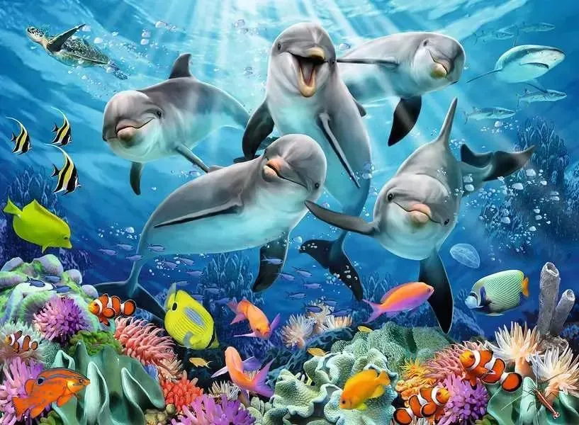 Dolphins in the Coral Reef Dolphin