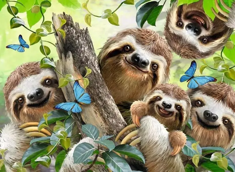 Sloth Selfie Animals
