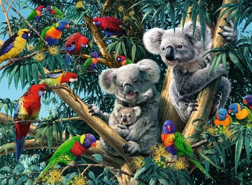 Koalas in a Tree - Scratch and Dent Animals