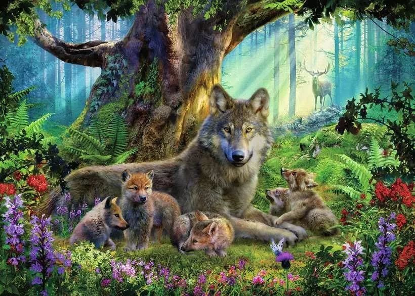 Wolves in the Forest Wolf