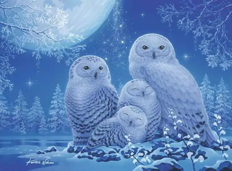 Owls in the Moonlight Birds