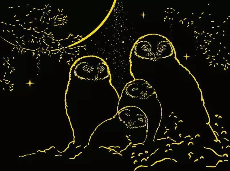 Owls in the Moonlight