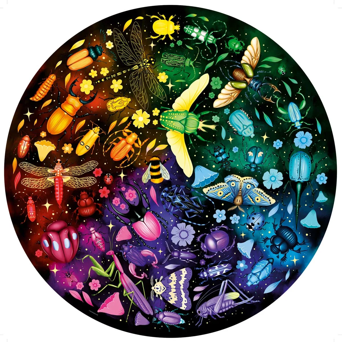 Circle of Colors - Insects 500p 64 Butterflies and Insects