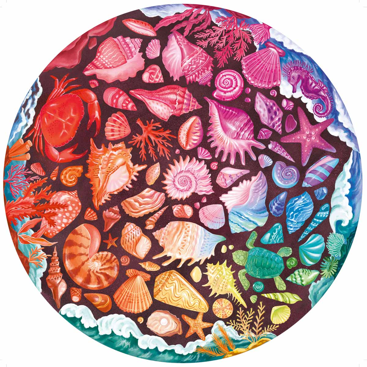 Seashells Circular Collage Jigsaw Puzzle