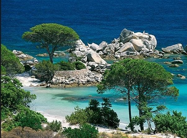 Plage de Palombaggia, Corse Sud Travel