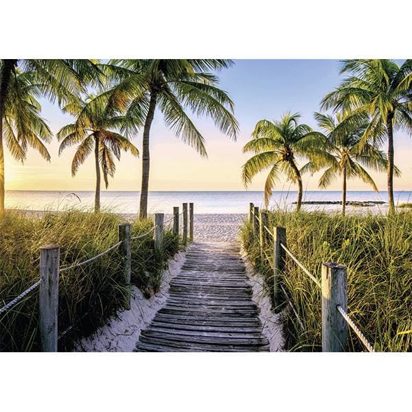 1000pc, Plage de Floride Travel
