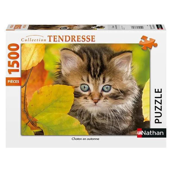 1500pc, Chaton en automne