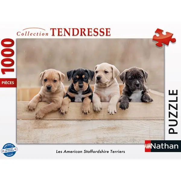 American Staffordshire Terriers