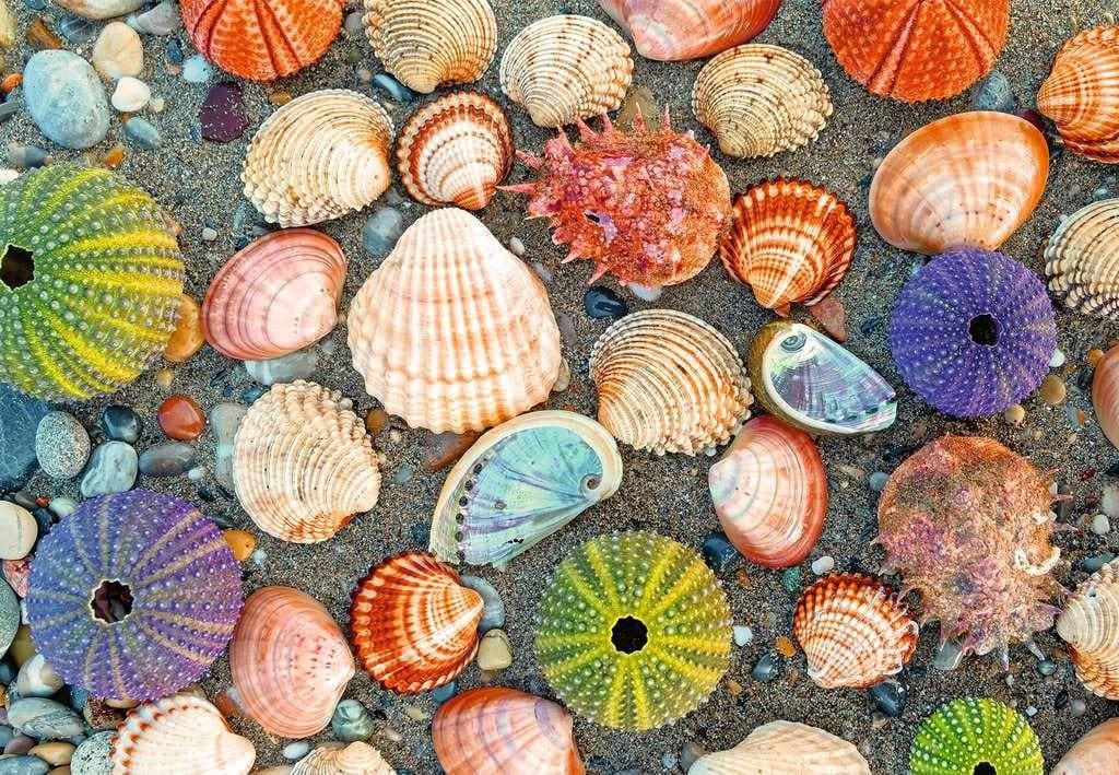 Puzzle Moments: By the Seashore - Scratch and Dent Beach & Ocean